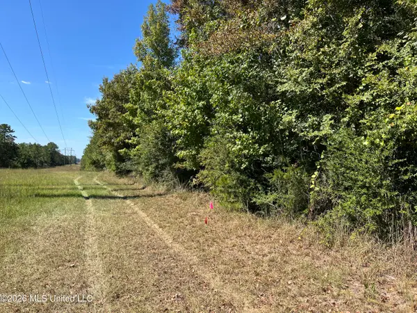 Matthews Road, Tylertown, MS 39667