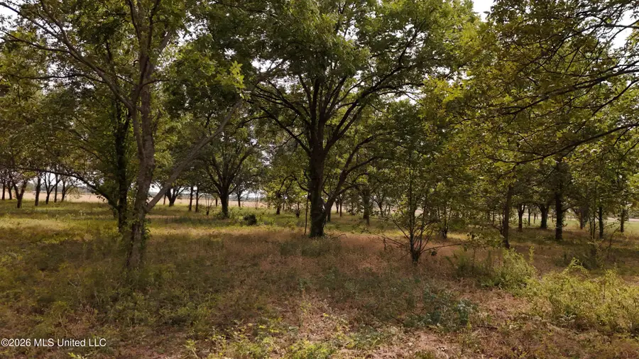 Interstate Road, Shaw, MS 38773 - #3