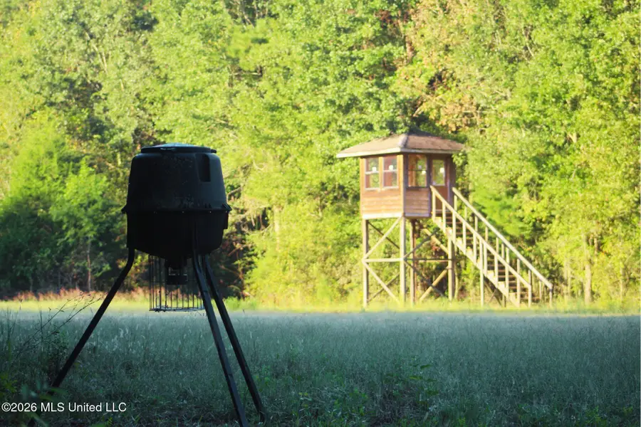 2788 Highway 16, Carthage, MS 39051 - #2