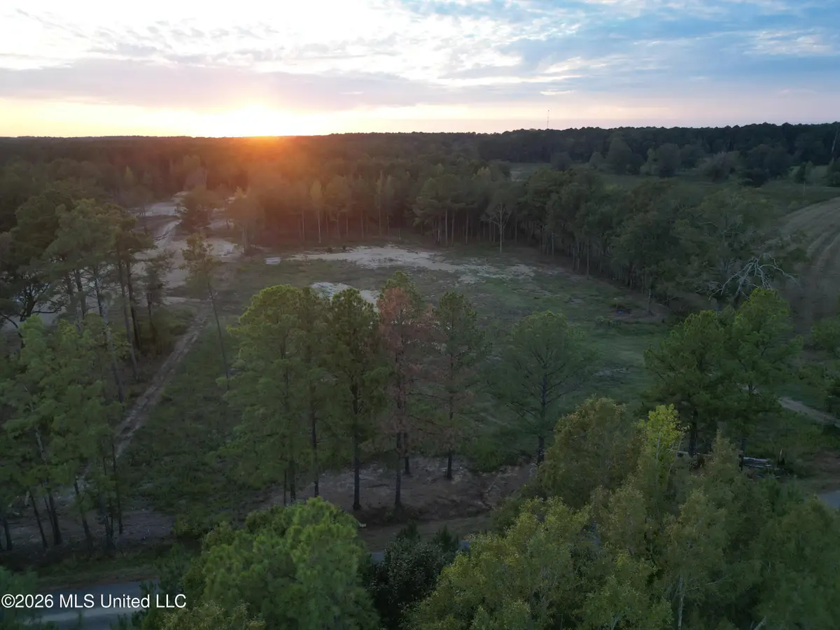 Swamp Road, Carthage, MS 39051 - #1