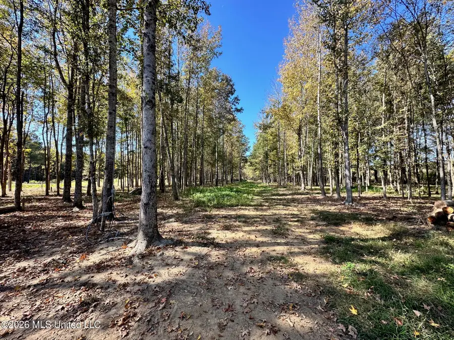 Swamp Road, Carthage, MS 39051 - #3