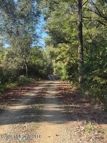 01 N 35 Highway, Carthage, MS 39051 - #1