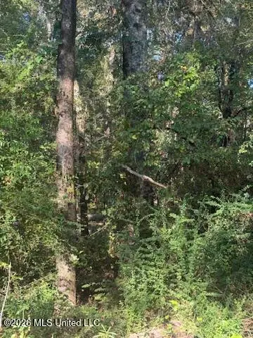 01 N 35 Highway, Carthage, MS 39051 - #3