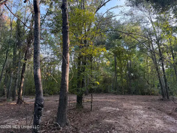 0 Judkins Road, Yazoo City, MS 39194