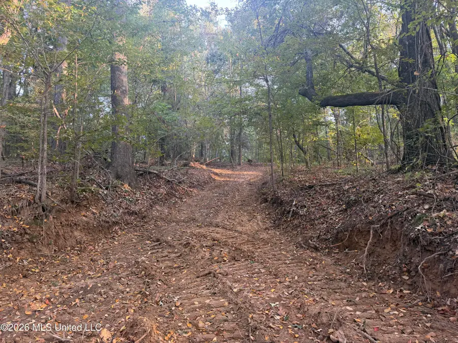 0 Judkins Road, Yazoo City, MS 39194 - #2