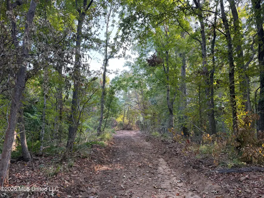 0 Judkins Road, Yazoo City, MS 39194 - #3