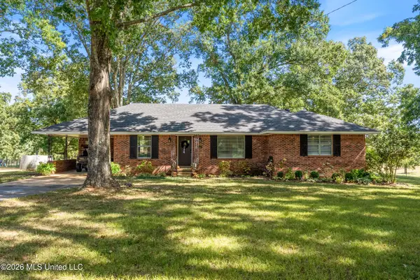 3407 Yellow Dog Road, Senatobia, MS 38668