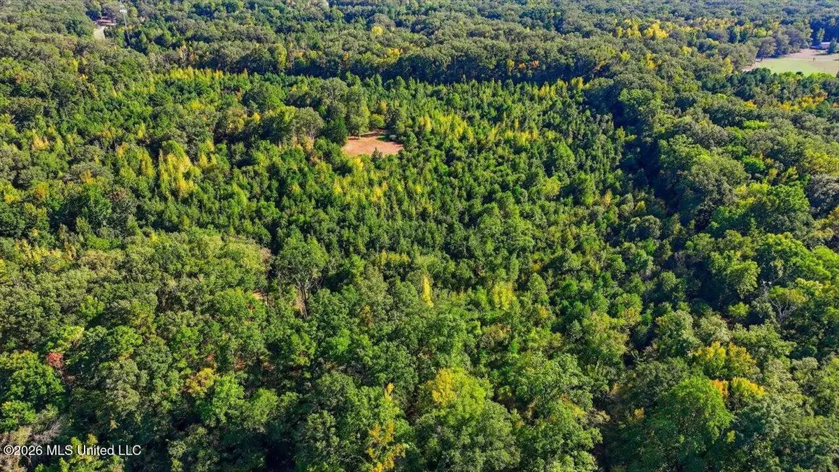 Springridge Rd, Raymond, MS 39154 - #1