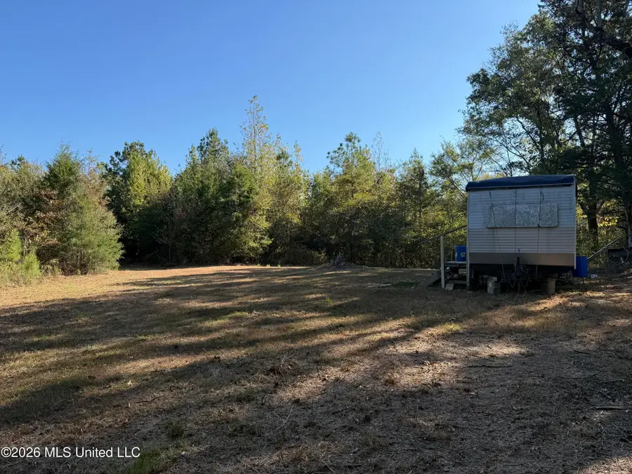 Old 51 Road, Pickens, MS 39146 - #2