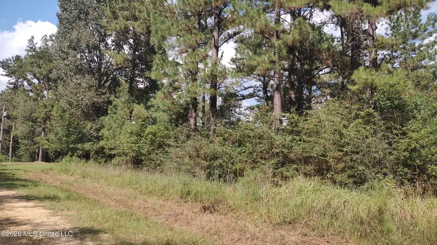 No Deer Creek Road, Lumberton, MS 39455 - #3
