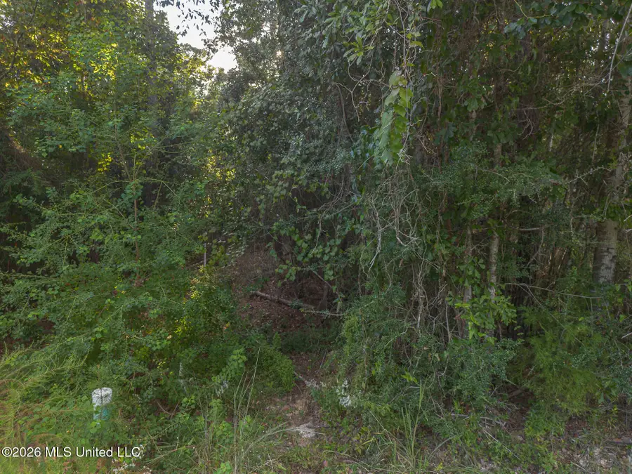 9718 Kino Place, Diamondhead, MS 39525 - #2