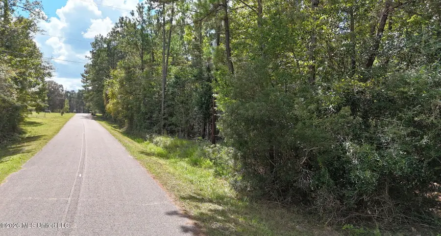 Riverline Drive, Saucier, MS 39574 - #3