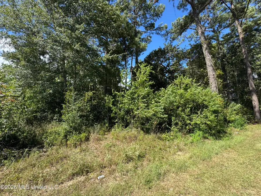 Veterans Drive, Diamondhead, MS 39525 - #2
