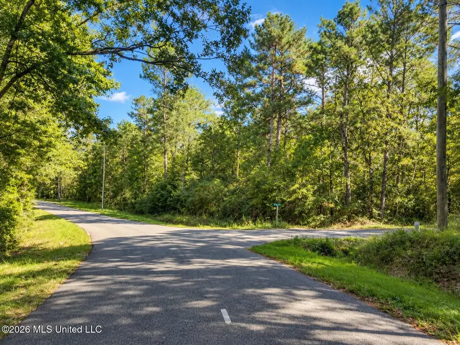 Lot 4 Nhn Will Thompson, Picayune, MS 39466 - #3