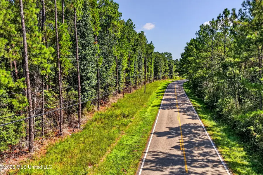 Parcel 4 Menge Avenue, Pass Christian, MS 39571 - #2
