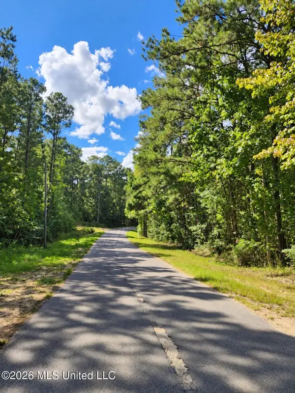 Lot 10 Nhn Will Thompson, Picayune, MS 39466