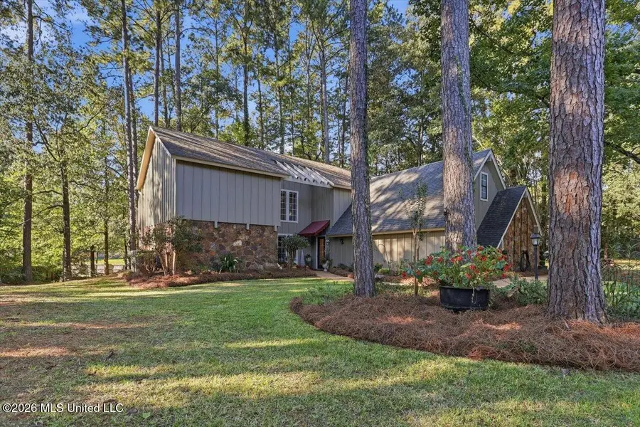 127 Newcastle Court, Brandon, MS 39047 - #2