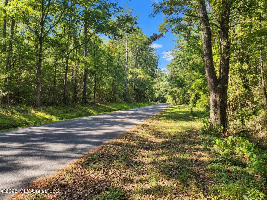 Lot 14 Nhn Will Thompson, Picayune, MS 39466 - #2