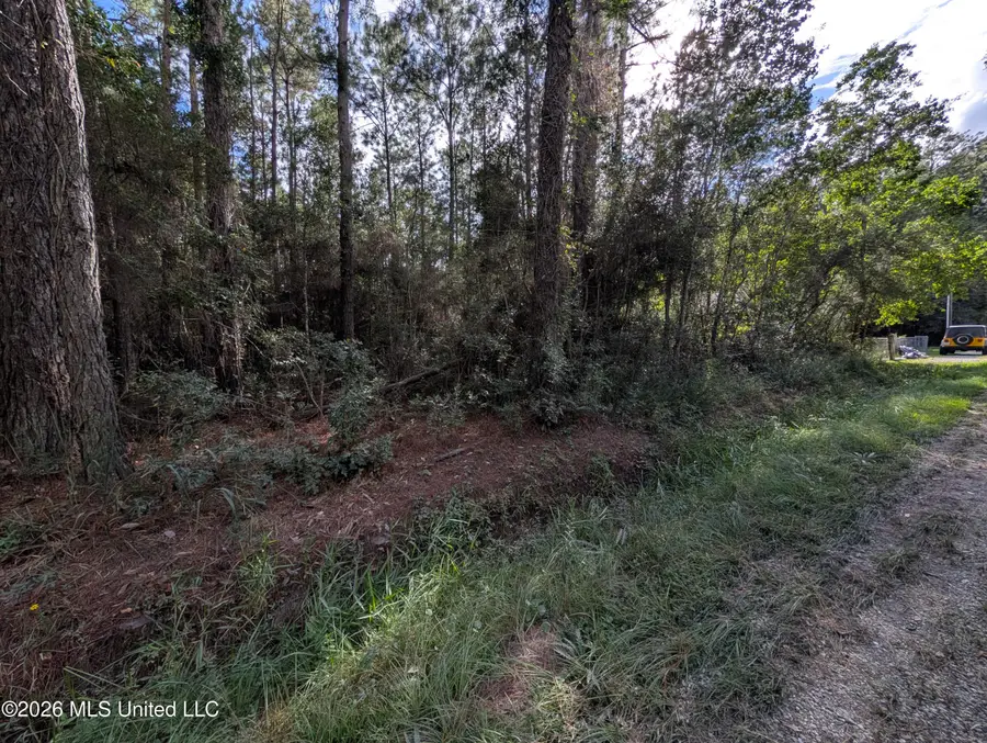 W Newton Street, Bay Saint Louis, MS 39520 - #3