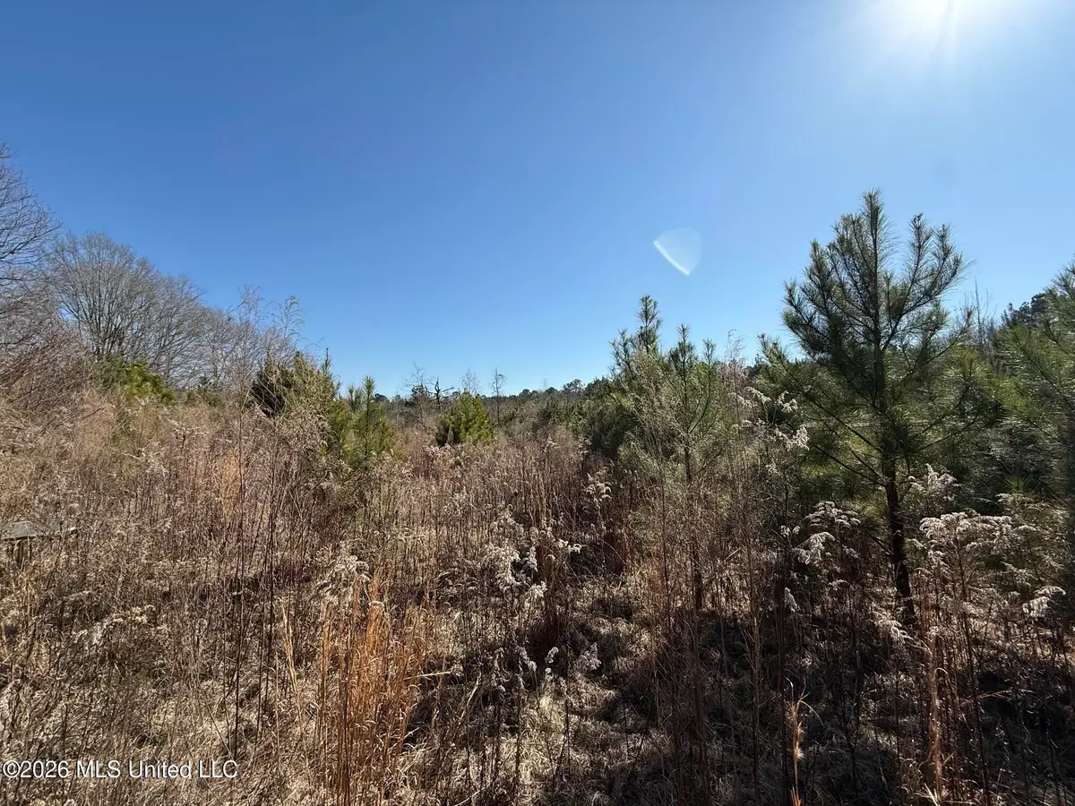 532 Mount Zion Road, Prentiss, MS 39474 - #1