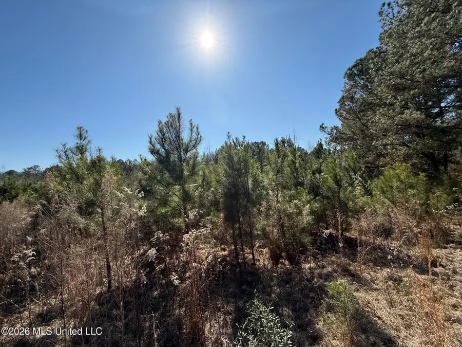 532 Mount Zion Road, Prentiss, MS 39474 - #2