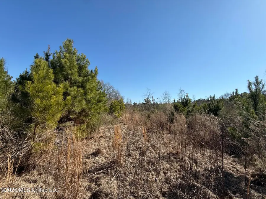 532 Mount Zion Road, Prentiss, MS 39474 - #3