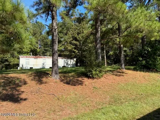 265 Steel Mill Road, Mendenhall, MS 39114 - #2