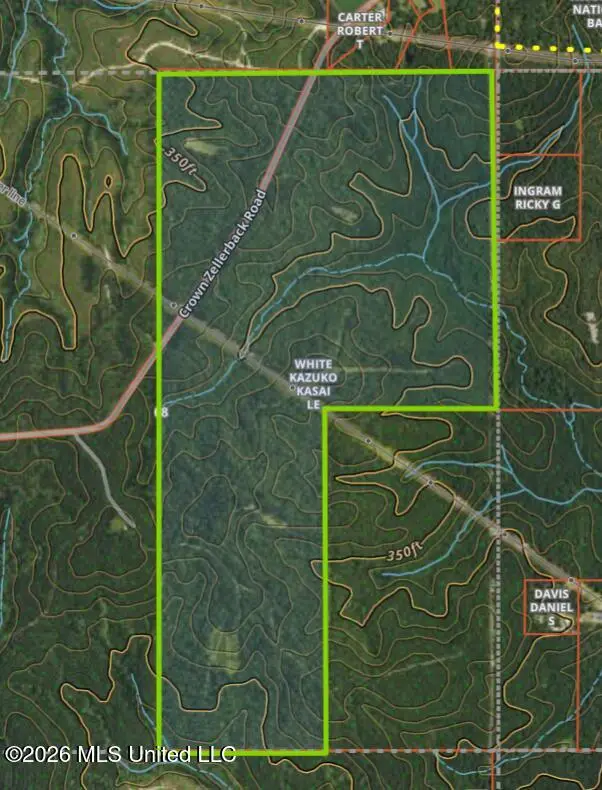 Crown Zellerback Road, Lumberton, MS 39455 - #1