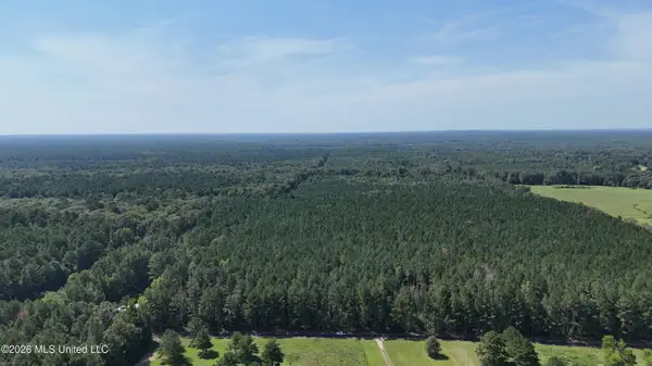 Davis Road, Morton, MS 39117