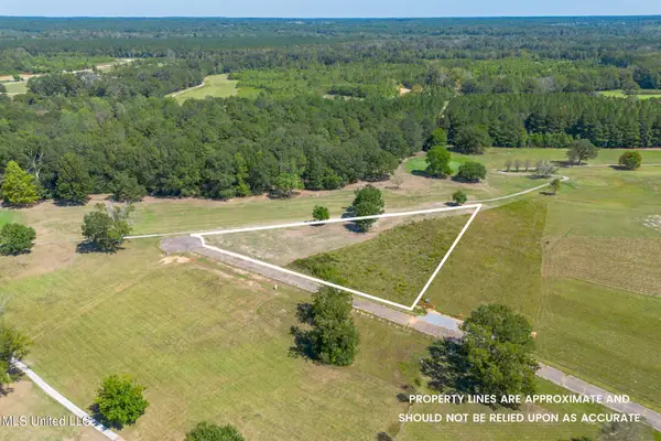 0 Club Dr., Collins, MS 39428