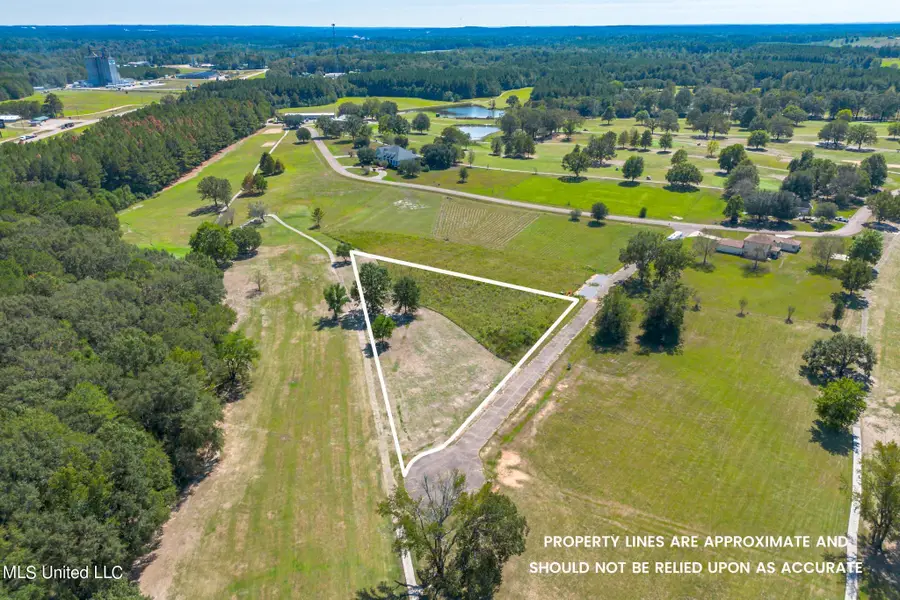 0 Club Dr., Collins, MS 39428 - #3
