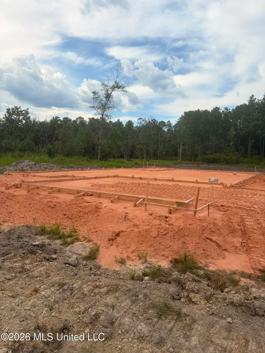 Tbd Corbit Boulevard, McLain, MS 39456 - #3