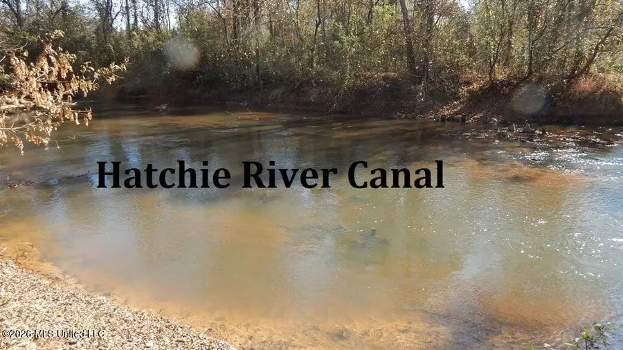 180 County Road 611 Country Road, Walnut, MS 38683 - #3