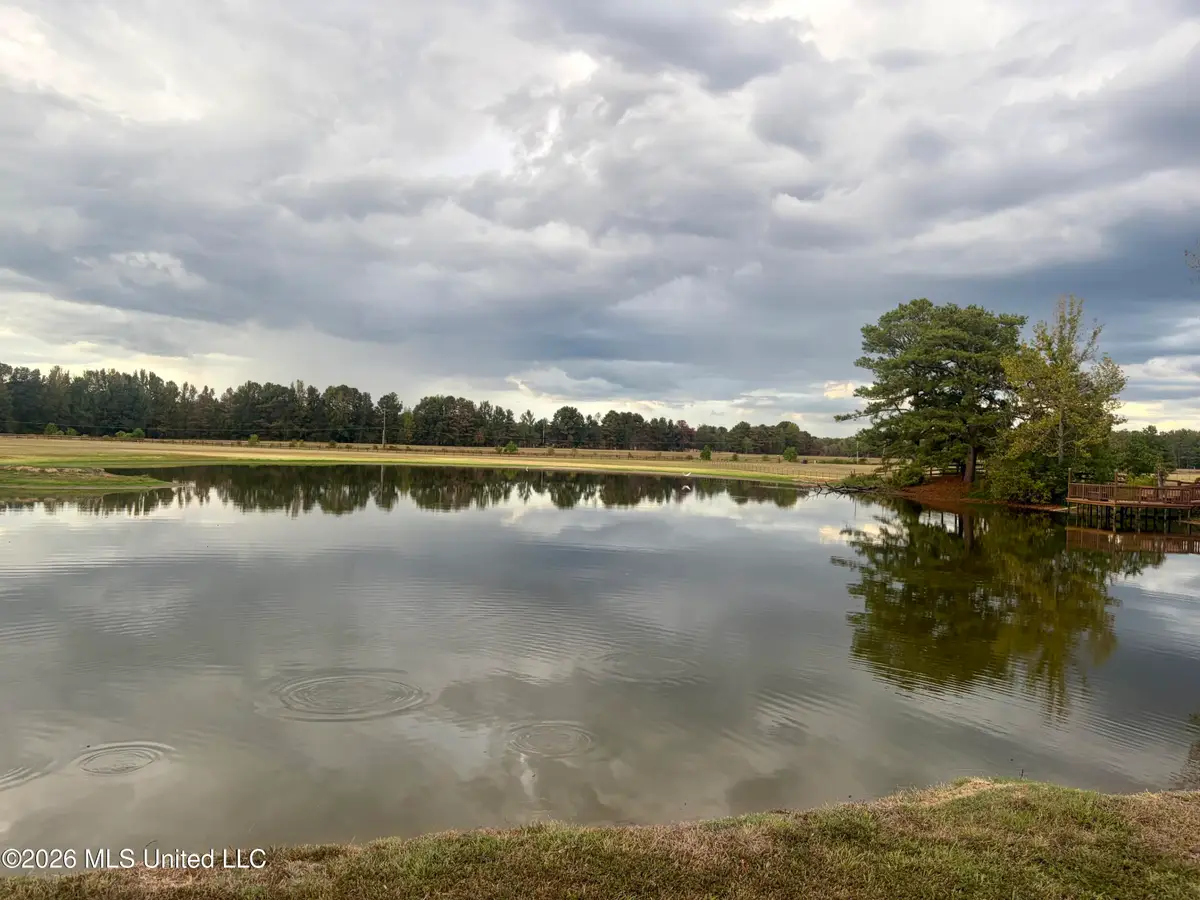 1310 Jones Loop, Terry, MS 39170 - #1