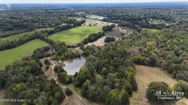 58 Rowell Road, Coldwater, MS 38618
