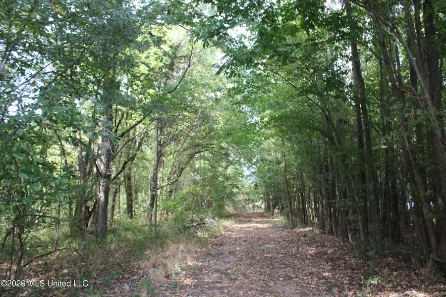 5 Star Landing Road, Nesbit, MS 38651 - #3