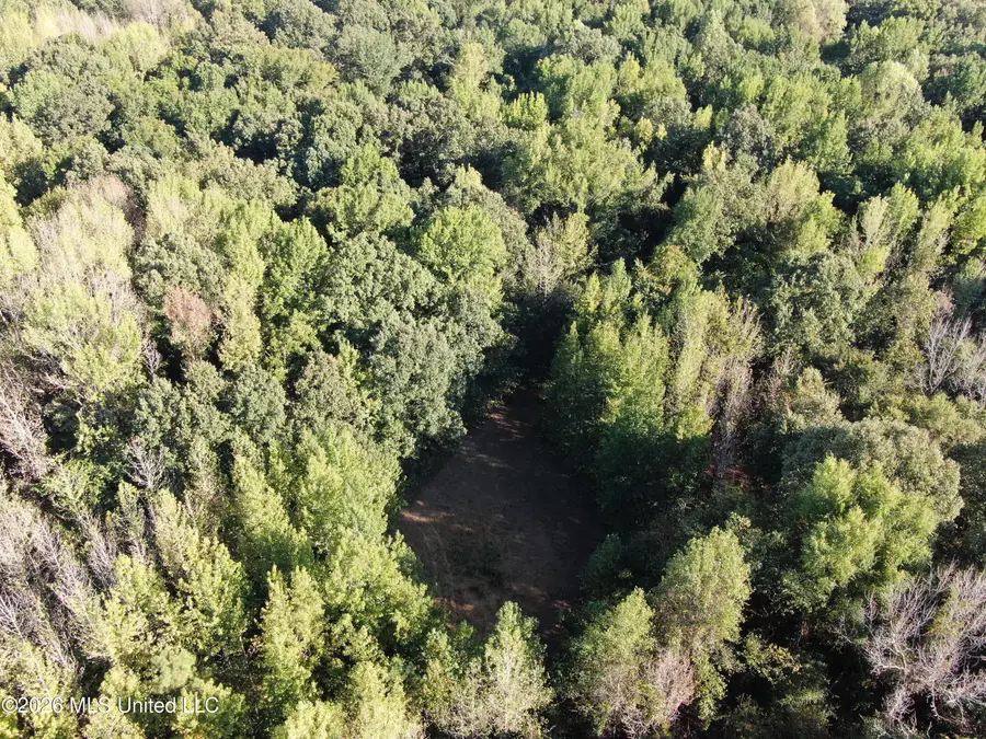 7 Star Landing Road, Nesbit, MS 38651 - #3