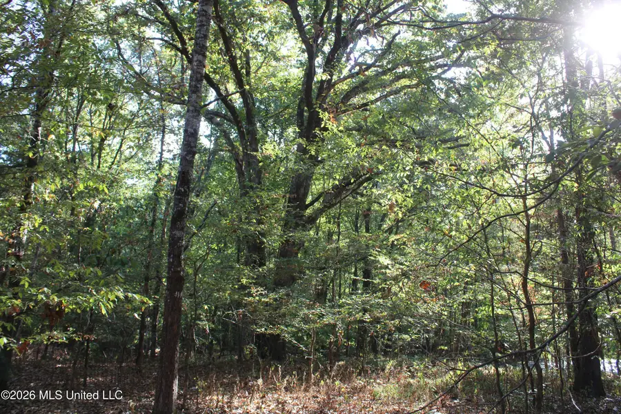 10 Star Landing Road, Nesbit, MS 38651 - #2