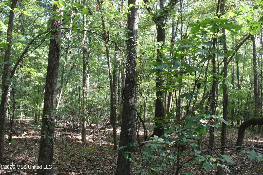 10 Star Landing Road, Nesbit, MS 38651 - #3