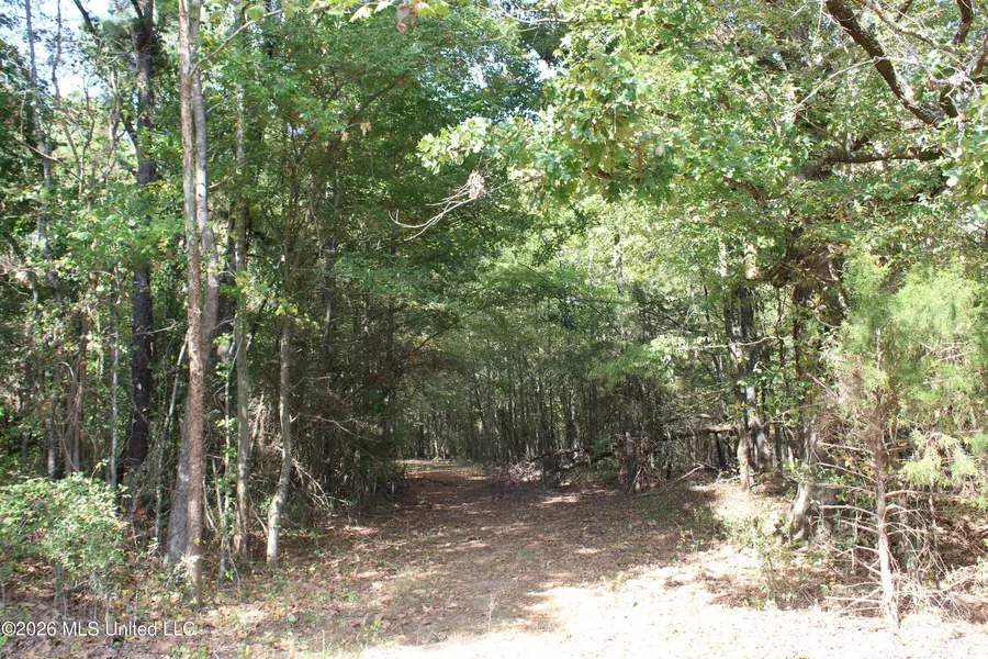 11 Star Landing Road, Nesbit, MS 38651 - #2