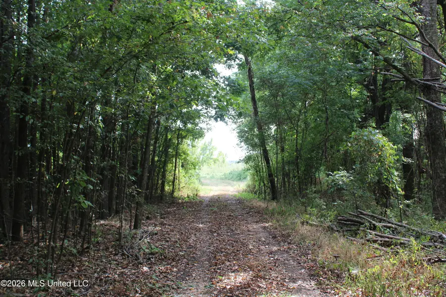 12 Star Landing Road, Nesbit, MS 38651 - #3
