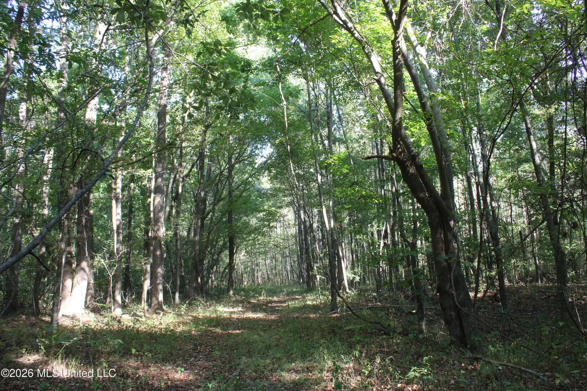13 Star Landing Road, Nesbit, MS 38651 - #1