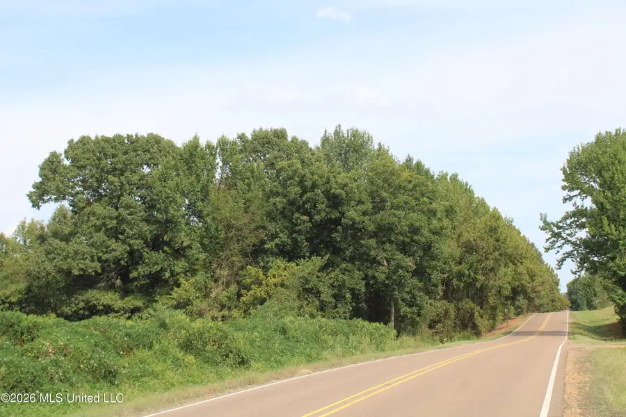13 Star Landing Road, Nesbit, MS 38651 - #3