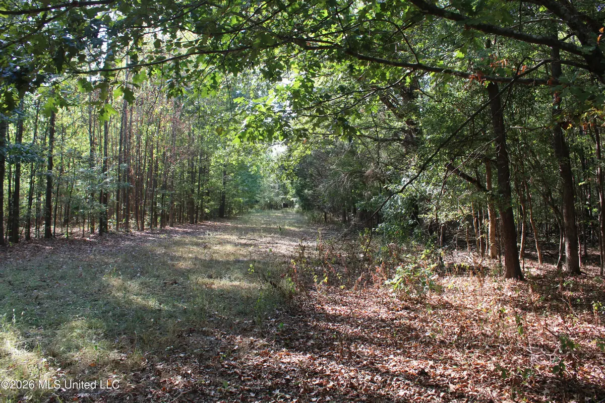 16 Tulane Road, Nesbit, MS 38651 - #1