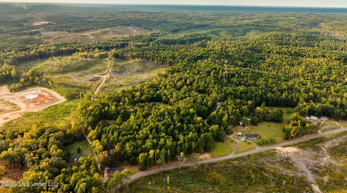 Co Rd 717, Union, MS 39365 - #1