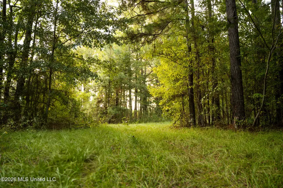 Co Rd 717, Union, MS 39365 - #2