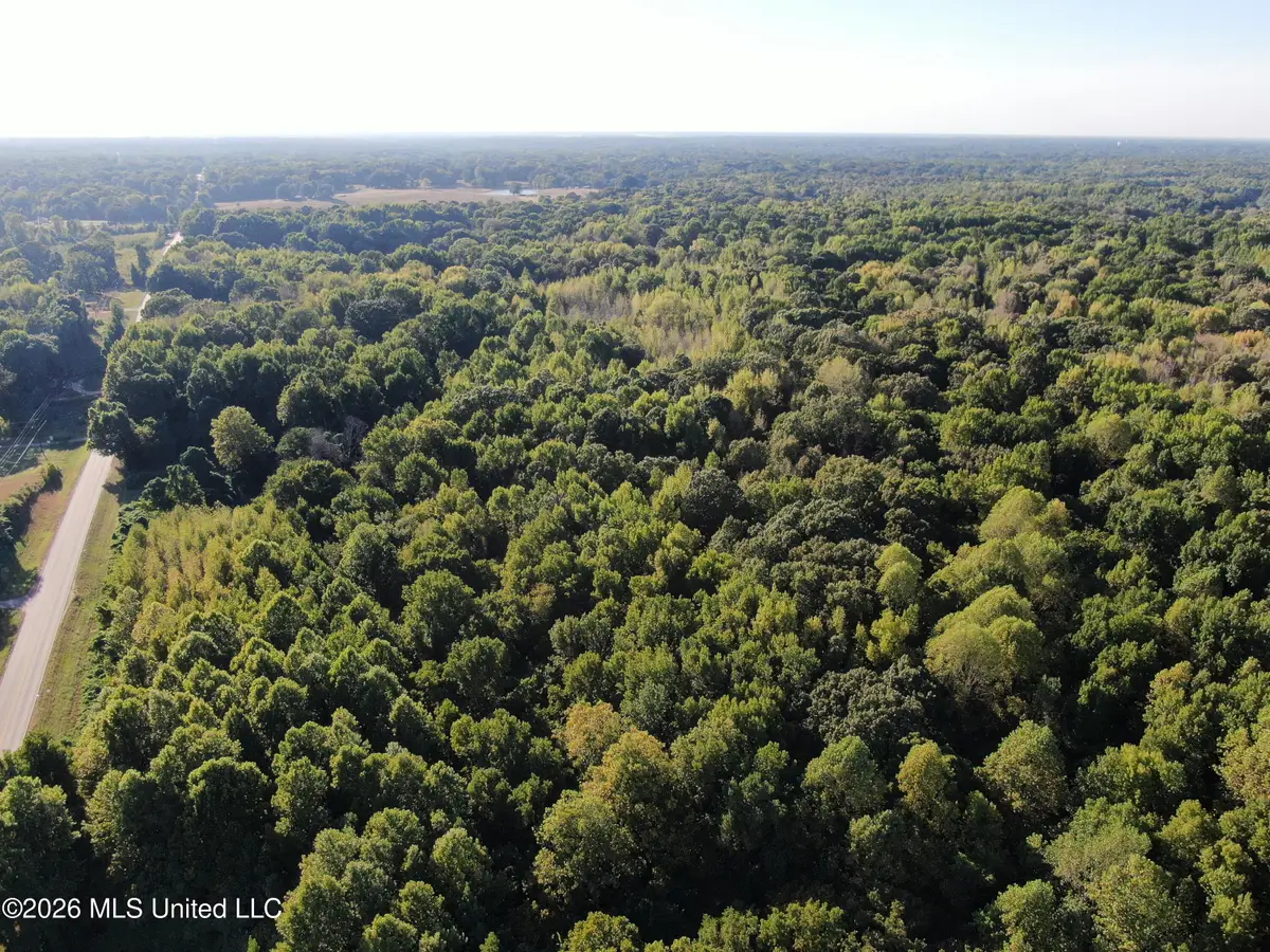 17 Star Landing Road, Nesbit, MS 38651 - #1