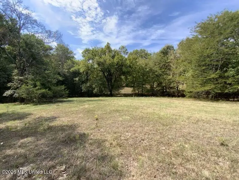Hunters Chapel Road, Sarah, MS 38665 - #3