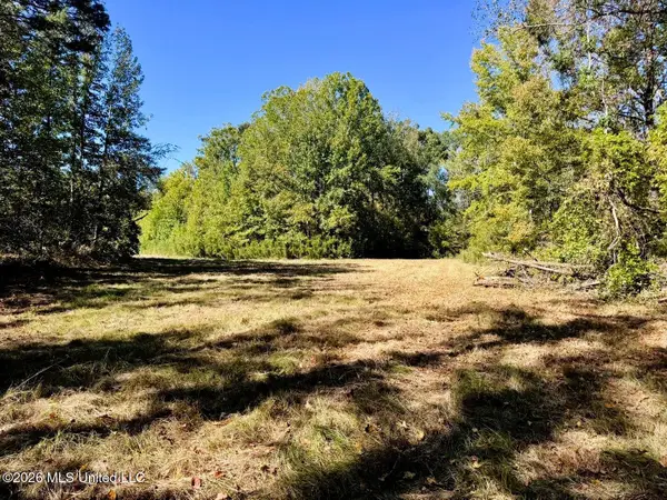 County Road 211, Carrollton, MS 38917