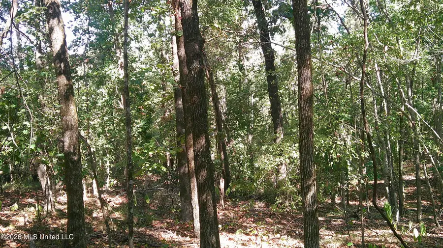 0 Joiner Road, Batesville, MS 38606 - #3